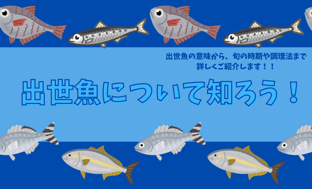 出世魚とは？種類ごとの名前の変化や旬をわかりやすく解説！